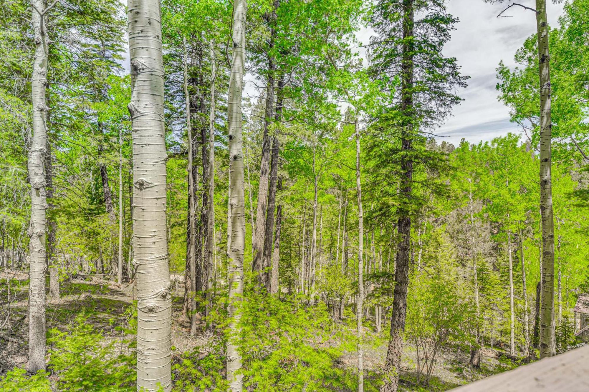 Quaint Cloudcroft Cabin With Stunning Forest Views! 外观 照片
